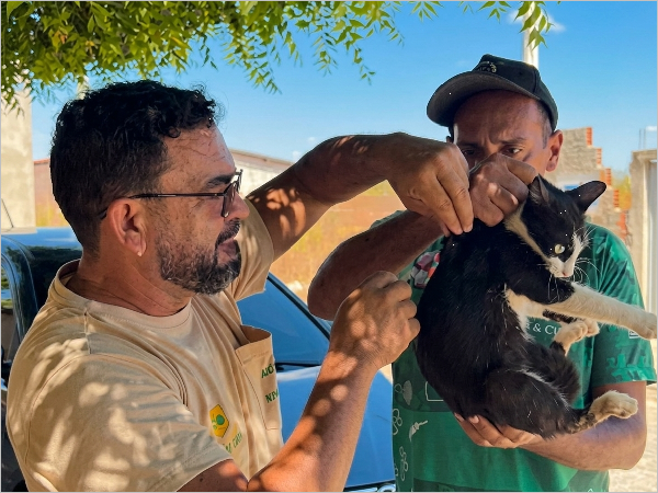 Vacinação Antirrábica: Prefeitura realiza Dia D e reforça proteção para cães e gatos em Taboleiro G [...]
